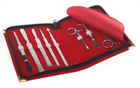 Dissecting set, stainless steel, magnetic, 8 pieces