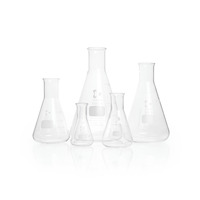 Erlenmeyer flask, conical, narrow neck, 25 ml, DWK