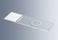 Mikrosklo podložní, HistoBond® s 1 kroužkem, bílá matovaná ploška, (2 000 ks), MARIENFELD